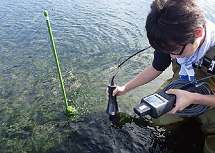 水圏の環境保全や創出、水循環に関する課題解決を目指す